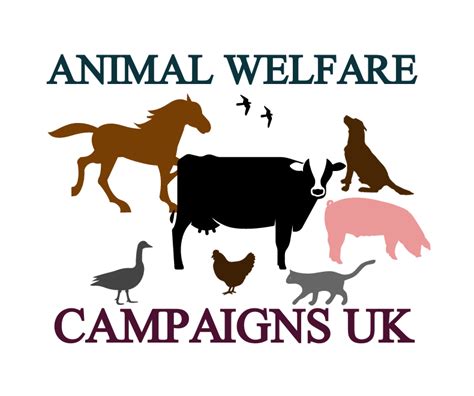 animal welfare campaigns uk.